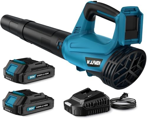 Cordless Blower with 2 Batteries (B0DJJB7WS9)